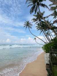 Title: Sri Lanka – The Island Where Nature and Soul Speak Loudest