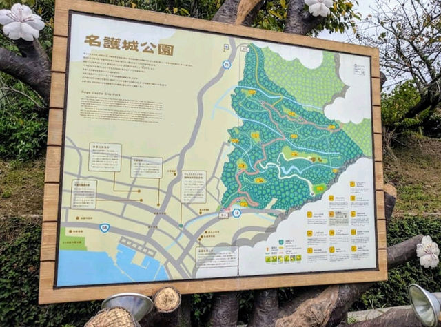 沖繩賞櫻，名護城跡公園的絕美海景櫻花