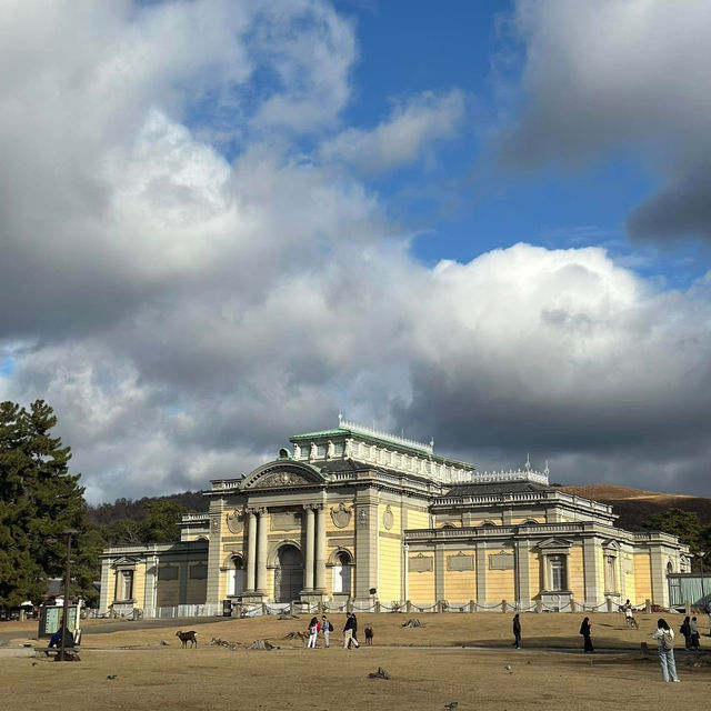 Just an Hour from Osaka: A Charming World of Deer, Temples & Tranquility