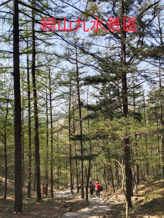 九水漫遊：嶗山山水間的心靈之旅