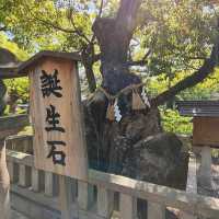 Sumiyoshi Taisha Shrine