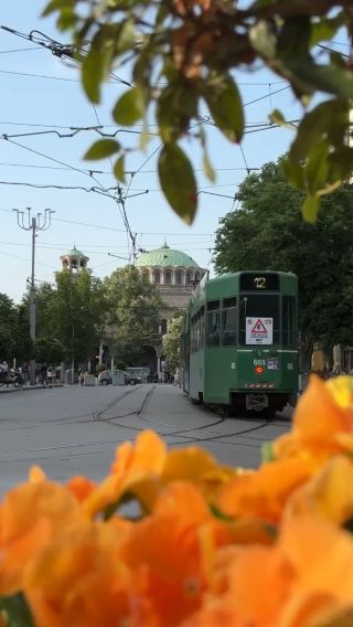 Sofia