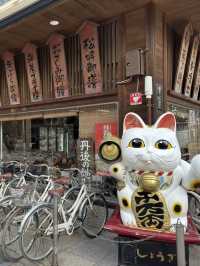 大阪｜交通攻略｜天橋立經典旅遊路線