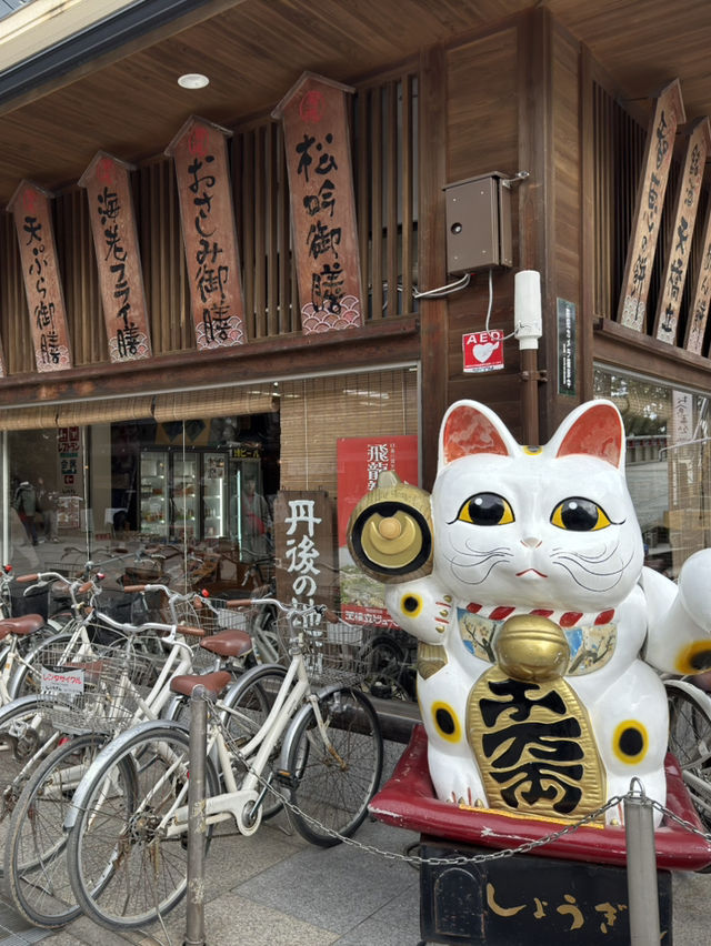 大阪｜交通攻略｜天橋立經典旅遊路線