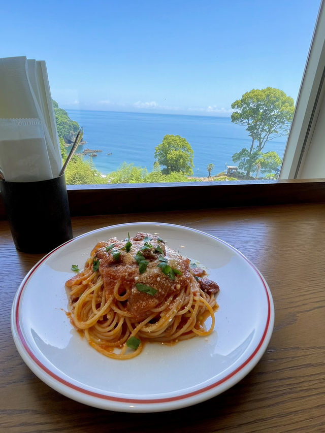 【熱海】今が見ごろ🌹✨ 熱海の絶景バラ園で癒されよう💘