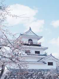 從大阪到仙台賞櫻最快交通：日本國內線飛機攻略