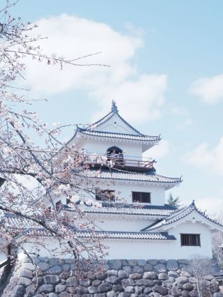 Fastest way to travel from Osaka to Sendai for cherry blossom viewing