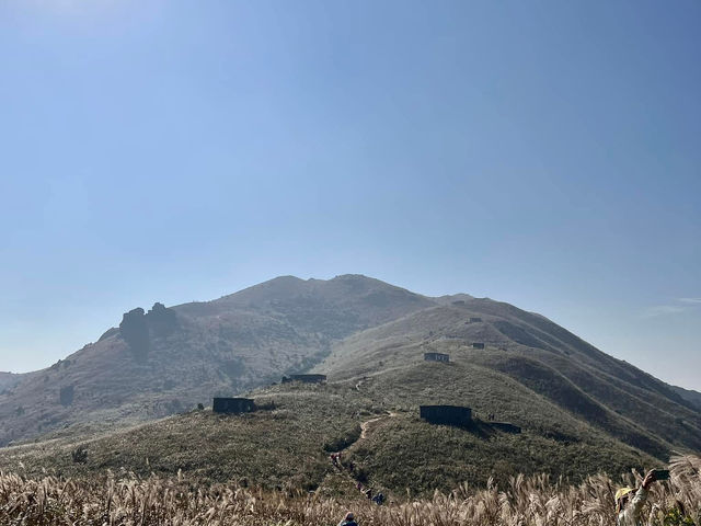 🗺️**探索香港芒草盛放:大東山**🗺️
