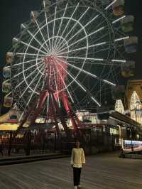 The Massive Grinning Face of Luna Park 