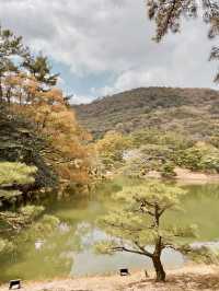 일본에서 자연을 느끼고 싶을 때 추천하는 도시🌳