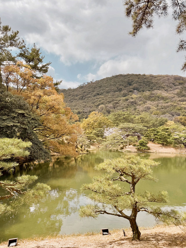 일본에서 자연을 느끼고 싶을 때 추천하는 도시🌳