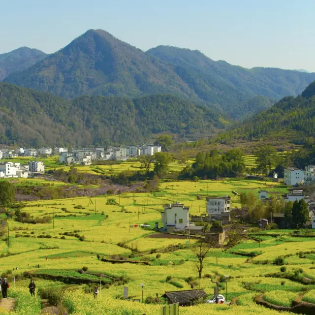 Jiangxi Wuyuan｜Huangling Village｜Enjoy the unique scenery of rapeseed flowers!