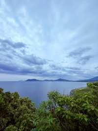 糸島龍貓森林