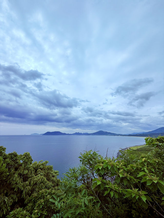 糸島龍貓森林