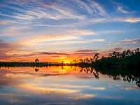 Hiking the River of Grass: Trails Through the Everglades