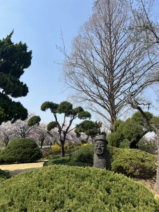 SEOUL BLOSSOM SEASON