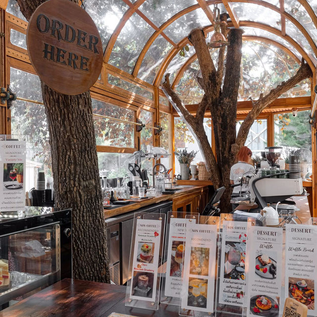 📍 Lecino Backyard Cafe 🏔️☕️🍰 ~เขาใหญ่~