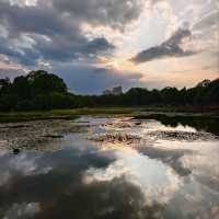 Cui Lake Chronicles: Where Ducks, Lotus, and Vibes Collide