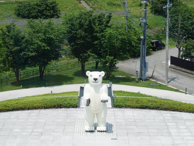 探索富山園美術館的藝術之旅 🎨✨