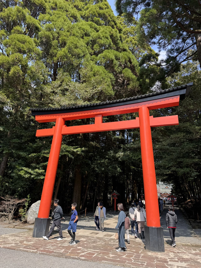 霧島神宮享受大自然