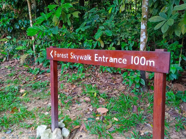Discover Kepong: Kuala Lumpur’s Hidden Oasis for Nature and Food Lovers
