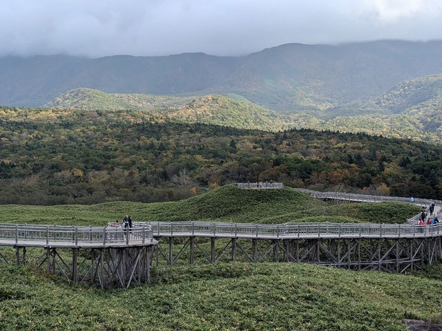 北海道道東🇯🇵 世界自然遺產