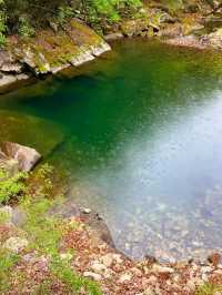 A Journey to the Heart of Nature: Exploring Jirisan National Park