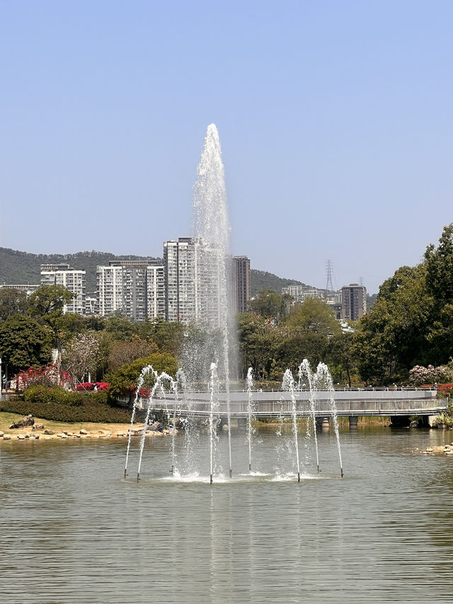 適合親子郊遊的深圳香蜜公園