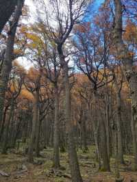 해외여행 칠레의 유명한 트레킹 코스 Parque Nacional Torres del Paine