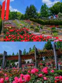 Kobe Kitano Ijinkan-Gai – A Glimpse of Global History in Japan