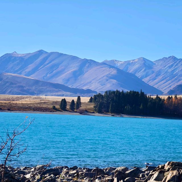 Tranquil Moments by the Lake: A Visit to Tekapo’s Iconic Church and Memorial Dog