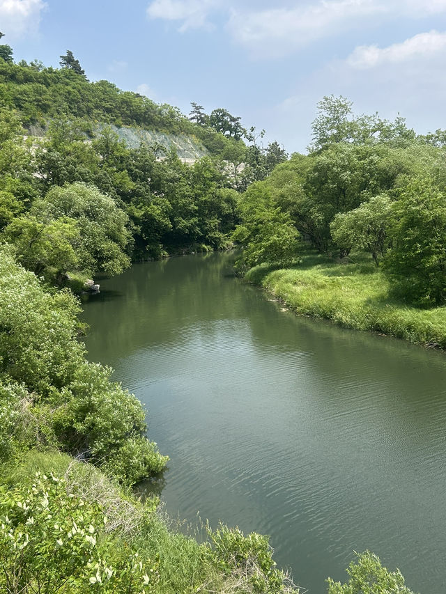 ️ 고즈넉한 자연 속 휴식, 카페 레오나🌳🌲