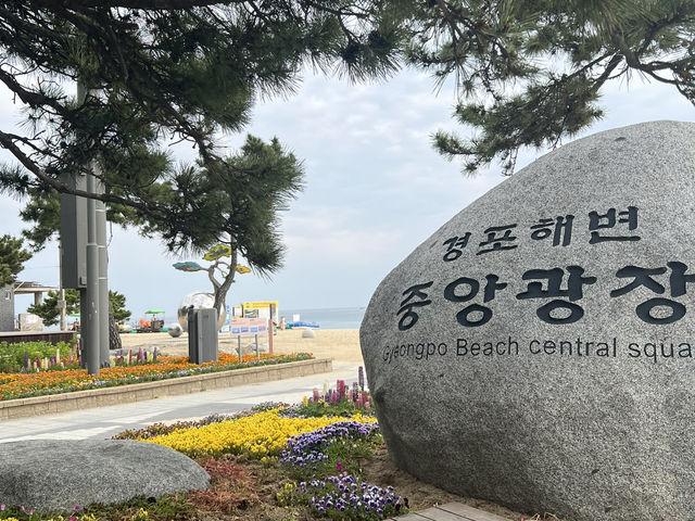 강릉 그리고 동해