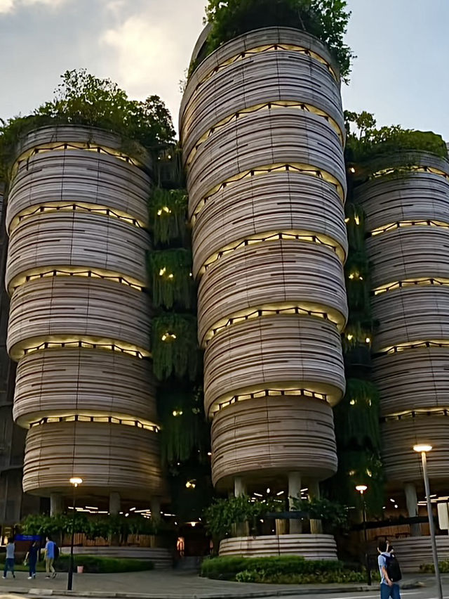 สิงคโปร์🇸🇬