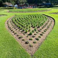 🚶‍♀️ One-Day Walk Around Brisbane City