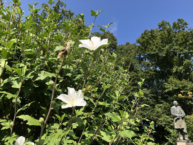 親子で丸1日❣️自然も童話の世界も満喫‼️