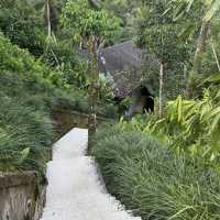 Weekend Escape to Bali Ubud 🌴✨