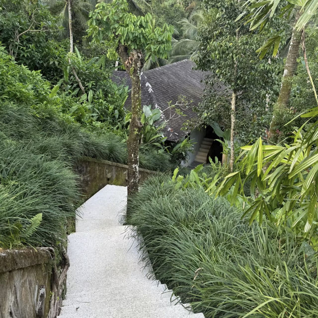 Weekend Escape to Bali Ubud 🌴✨