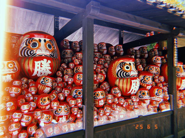 充滿達摩的勝尾寺 充滿達摩的勝尾寺