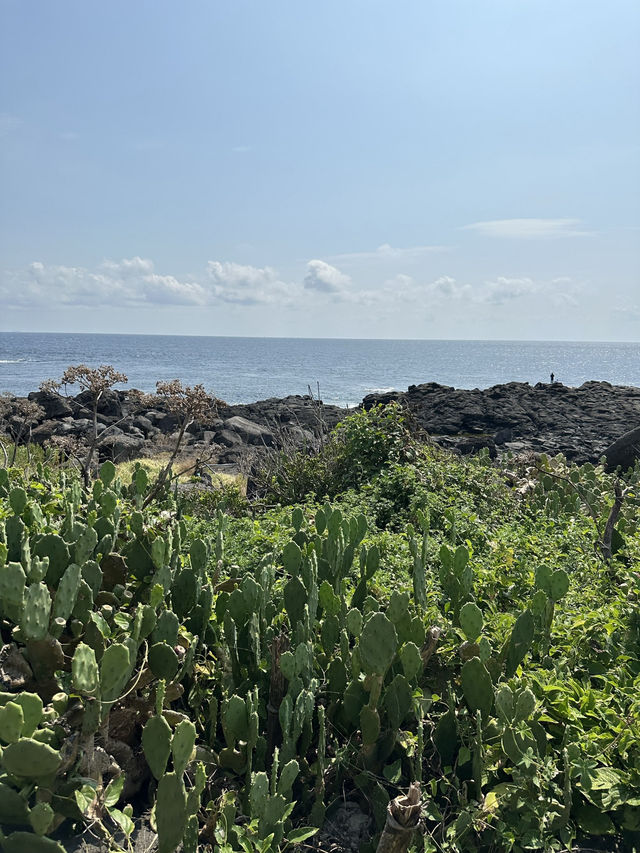 🌴 소소하지만 찬란한 마라도, 오늘의 힐링