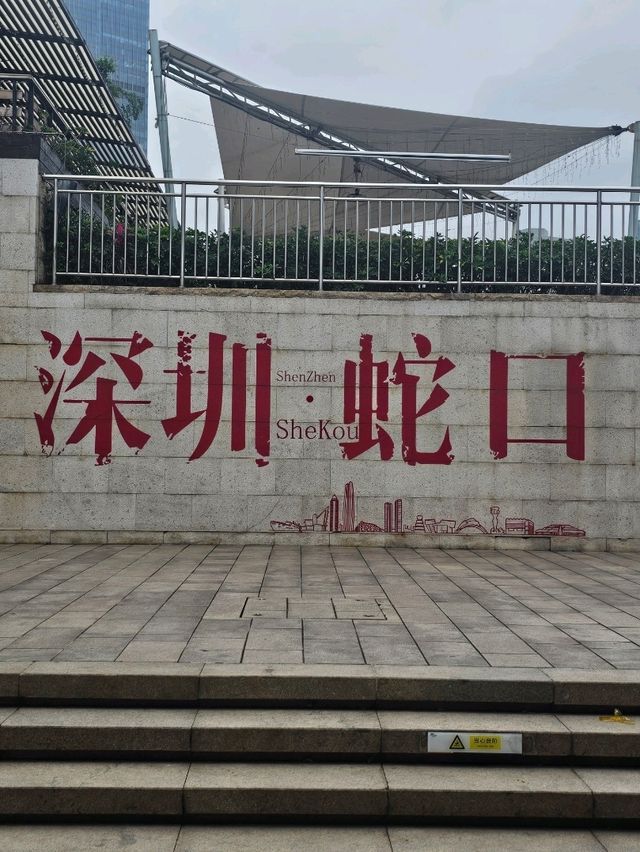 🌆 Shenzhen Surprise: China’s Coolest City You’ve Never Explored! 🌟Just wrapped up an unforgettable