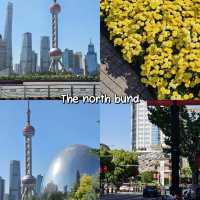 Shanghai เที่ยวไหนดี