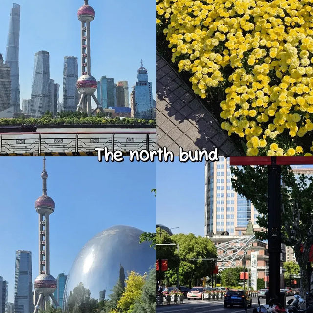 Shanghai เที่ยวไหนดี