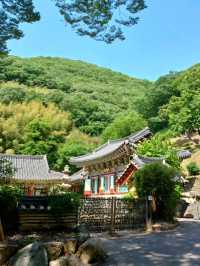 봄바람 속 고즈넉 데이트, 함안 장춘사 🌸