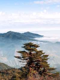 thrilling adventure for nature enthusiasts and cloud hunters to Ta Xua peak