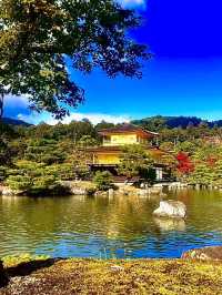 โอซาก้า🇯🇵