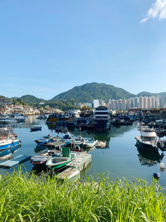 香港｜鯉魚門海鮮街 🦞🦀🎏
