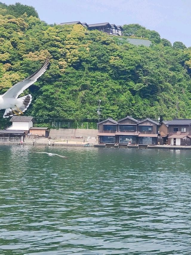 海之京都｜一日遊行程日誌