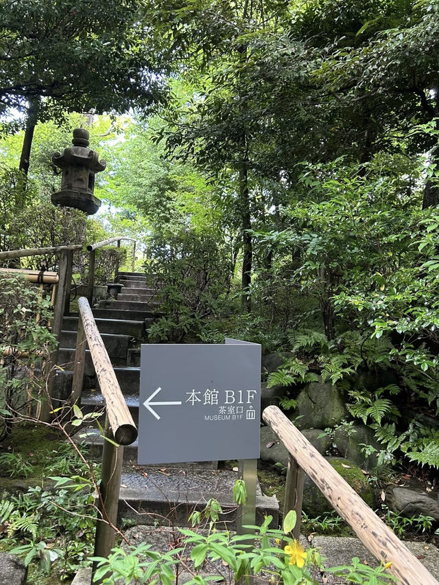A Serene Harmony of Art & Nature — My Visit to Nezu Museum, Tokyo