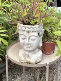 Spirited Away Atmosphere at this Greenhouse with Tasty Thai Food at Treasure Thai Horizon Hills
